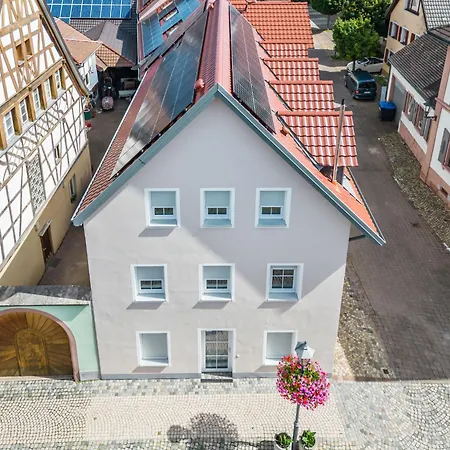 Michaela - S8 By Interhome アパート Endingen am Kaiserstuhl